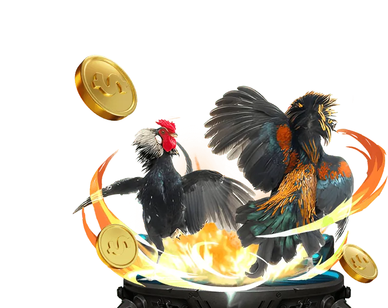 Các lựa chọn kèo cược đá gà trên giao diện KU Casino Lấy Mã