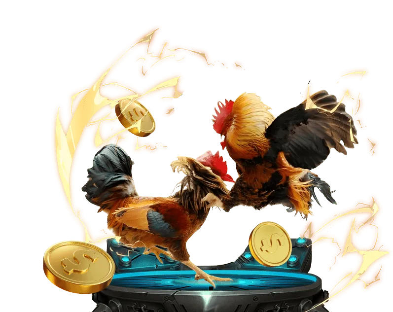 Giao diện đặt cược đá gà trực tuyến tại KU Casino Lấy Mã